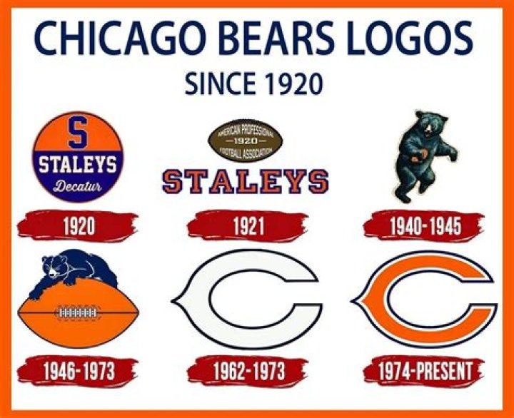 Discover The Original And Newest Bears