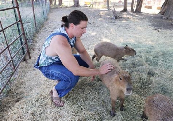 Discover The Sanctuary Of Urban Rescue Ranch