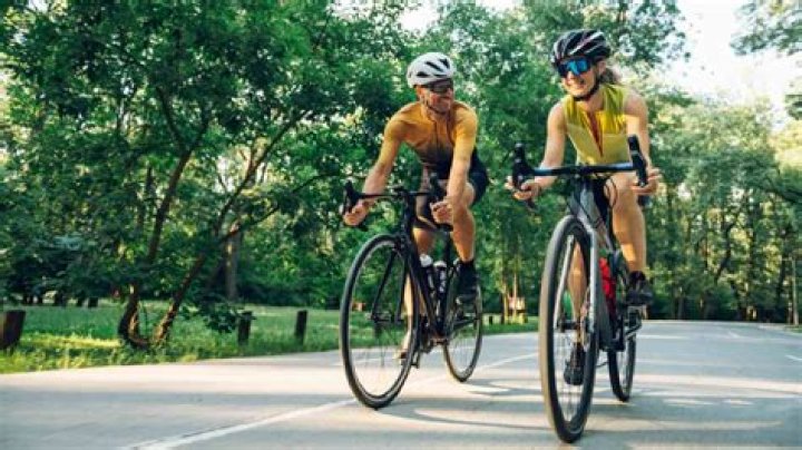 Discover The Thrill Of Enjoy Win: Embrace Your Victories