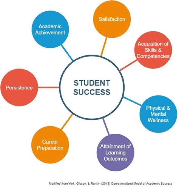 Discover Their Success And Impact