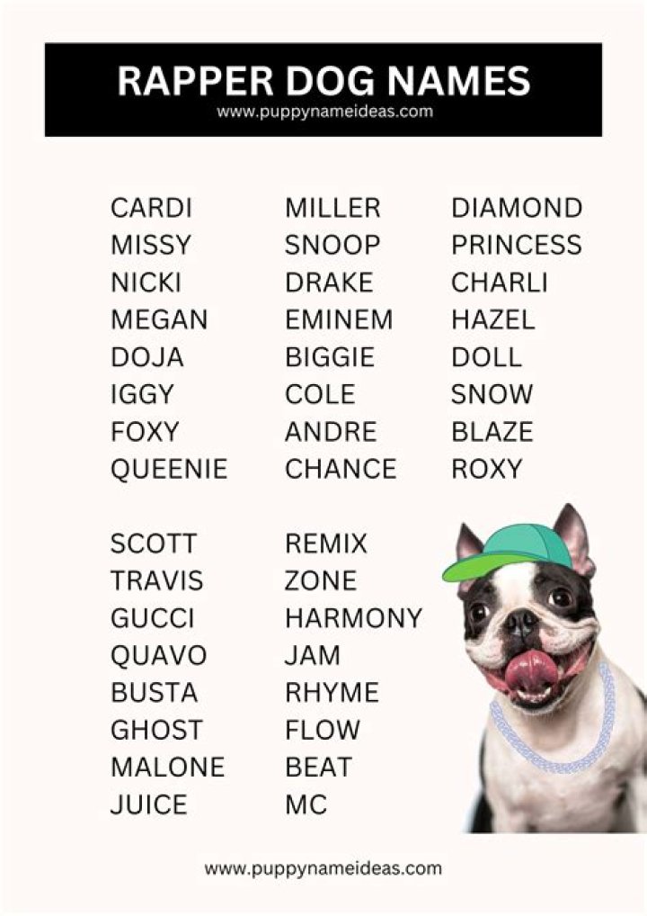 Discover Unforgettable Rapper Names: A Comprehensive Guide