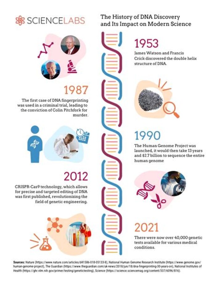 Discoveries And Insights For 