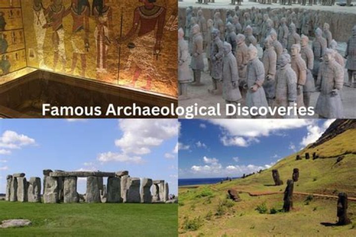 Discoveries And Insights From Project 1356