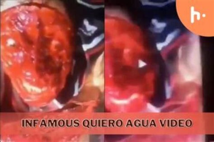 Disturbing Footage: Chilling Video Exposes 