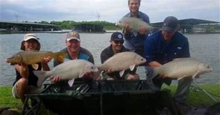 Dive Into The Texas Fishing Forum