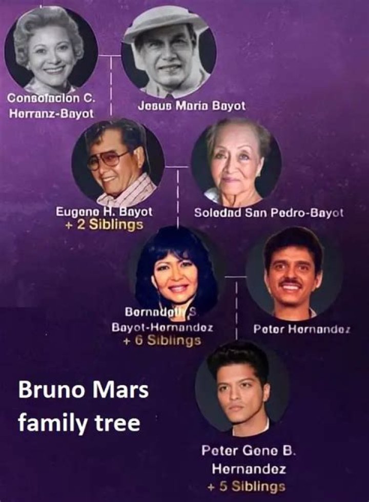 Does Bruno Mars Have Kids? Search The Facts About Family