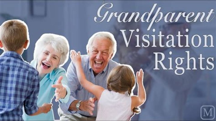 Does Bryn Hoppy Have Limited Grandparent Visitation Rights? The Shocking Truth