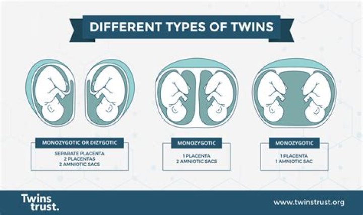 Does Rock Really Have An Identical Twin Brother?