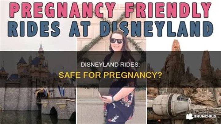 Don't Miss These Disneyland Rides During Pregnancy