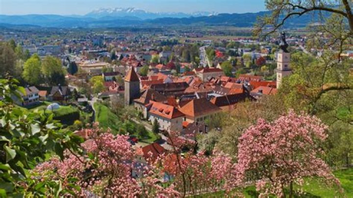 Draßburg gegen Wolfsberg im streaming Rapid TV :: Startseite 26 Juli 2024