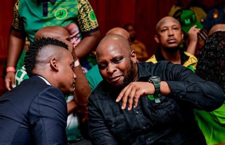 Duduzile Zuma-Sambudla: A Journey Through Education