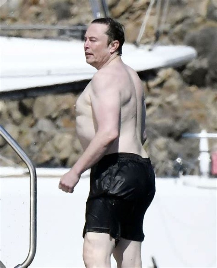 Elon Musk Shirtless.