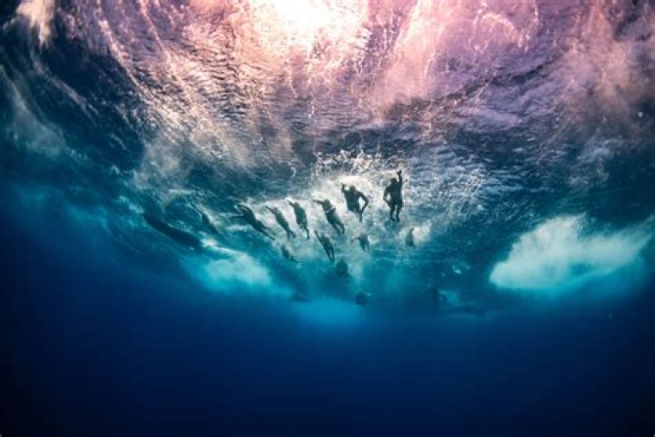 Enchanting Underwater Adventures: Teddy's Epic Swim