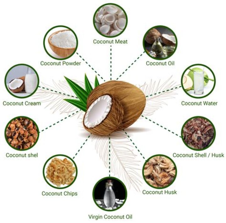 Exclusive Guide To Coconut Fruit: Unlocking Its Nutritional Treasures