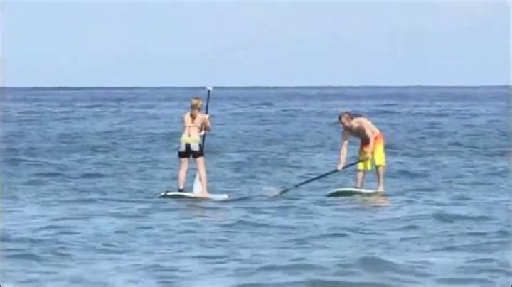 Exclusive Scoop: Jennette McCurdy And Joe Spotted In Hawaii - TMZ's Insider Scoop