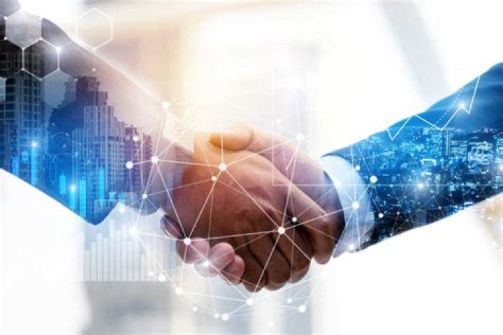 Expert Partner For Your Business Success