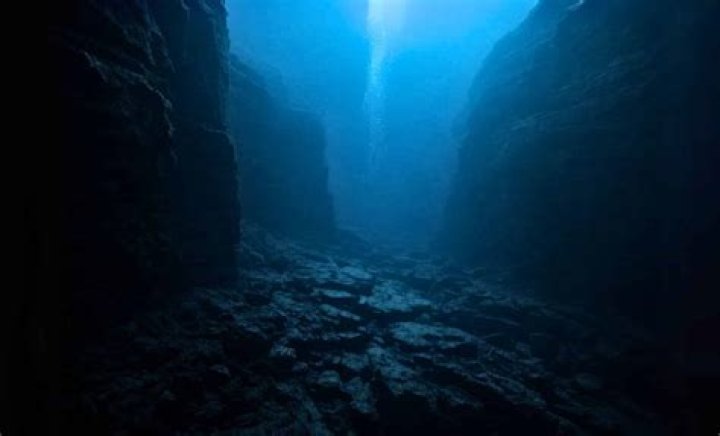 Explore The Fascinating World Of Blue-Tinted Cinema