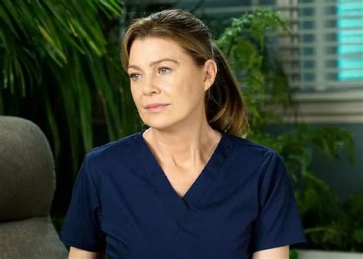 Exploring Ellen Pompeo Net Worth And Career Success