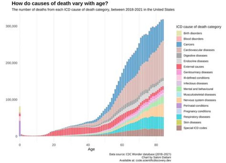 Exploring The Cause Of Death