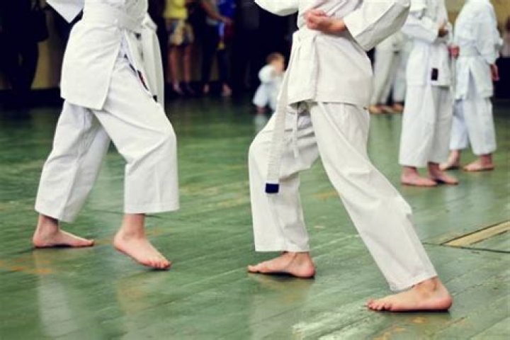 Exploring The Role Of Brazilian Jiu-Jitsu In Autism Diagnosis