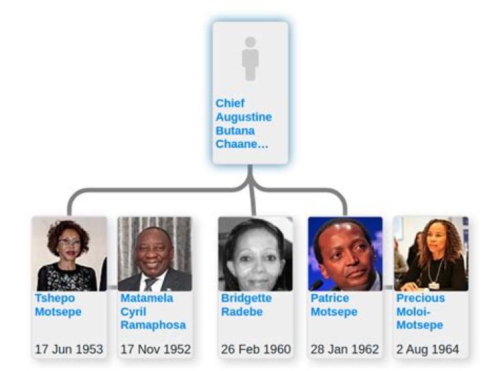 Exploring Tshepo Motsepe's Family: How Many Kids Does He Have?