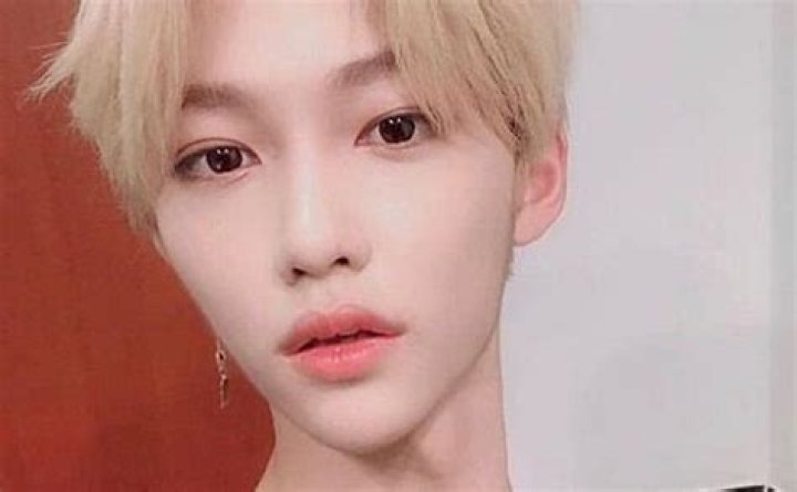 Felix (Stray Kids) Height, Weight, Age, Girlfriend, Biography, Facts ·