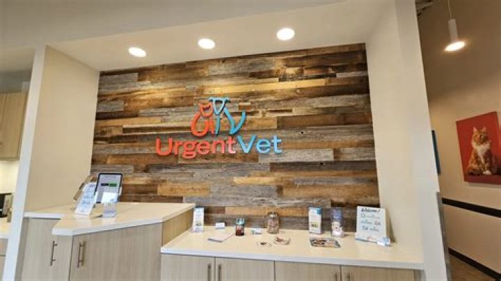 Find Urgent Pet Care At Your Nearest Palm Harbor Emergency Vet