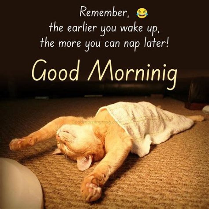 Find Your Morning Laugh: Hilarious Good Morning Memes