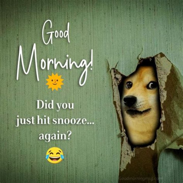 Good Morning Meme Funny