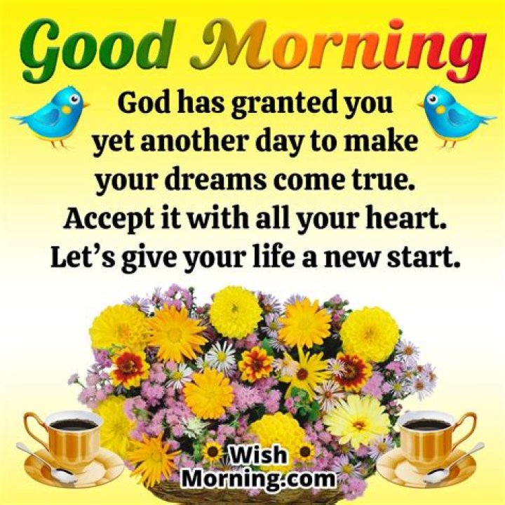 Greet Your Friends With The Heartfelt Good Morning Message