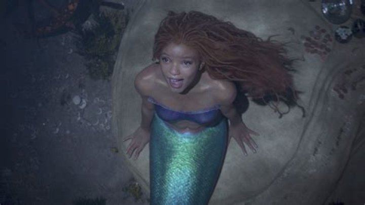 Halle Bailey's Pregnancy: Everything We Know About Disney's New Little Mermaid