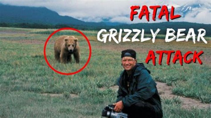 Has Anyone Killed A Bear On Alone?