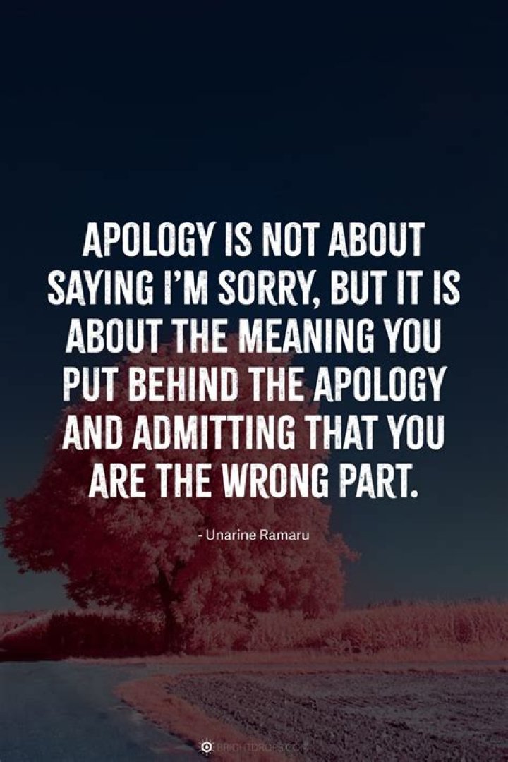 Heartfelt Apologies: Quotes That Express Genuine Remorse