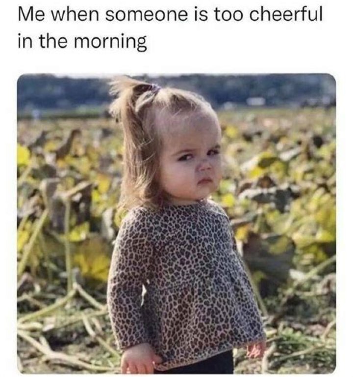 Hilarious Memes To Brighten Your Morning: The Ultimate Collection