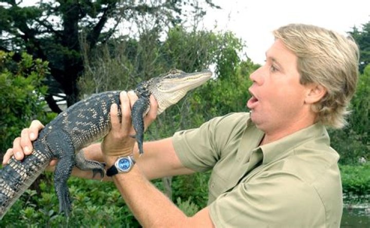 How Did Steve Irwin Die, Know More About The Crocodile Hunter ·