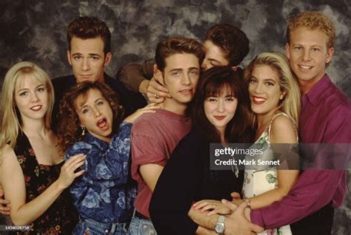 How Old Is Brooke From The Beverly Hills, 90210: A Comprehensive Guide
