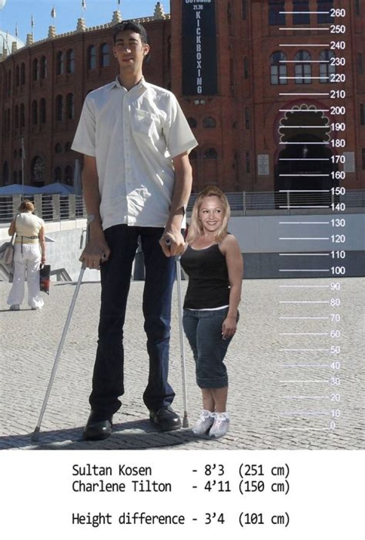 How Tall Is Charlene Tilton: Stats And Measurements