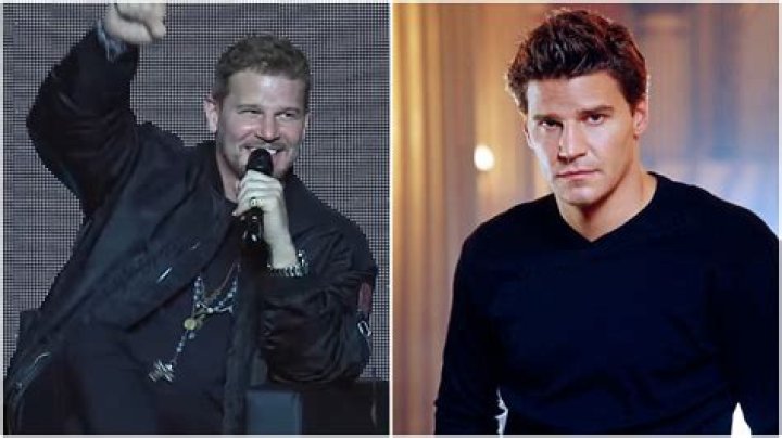 How Tall Is David Boreanaz? Uncovering His Stature