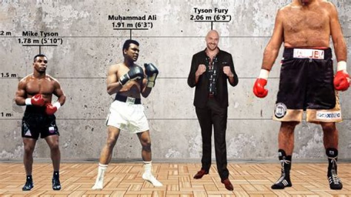 How Tall Is The UFC Heavyweight Champ?