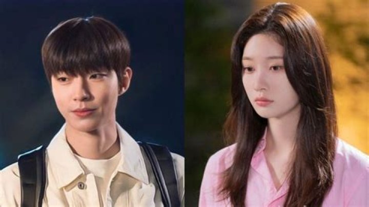 Hwang In Yeop And Kim Soo Hyun: A Dynamic Duo In The K-Drama World