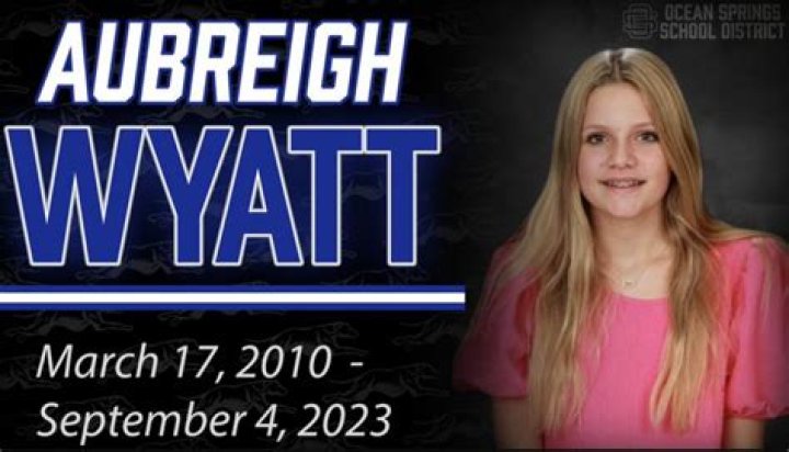 Identifying The Individuals Involved In The Bullying Of Aubreigh Wyatt