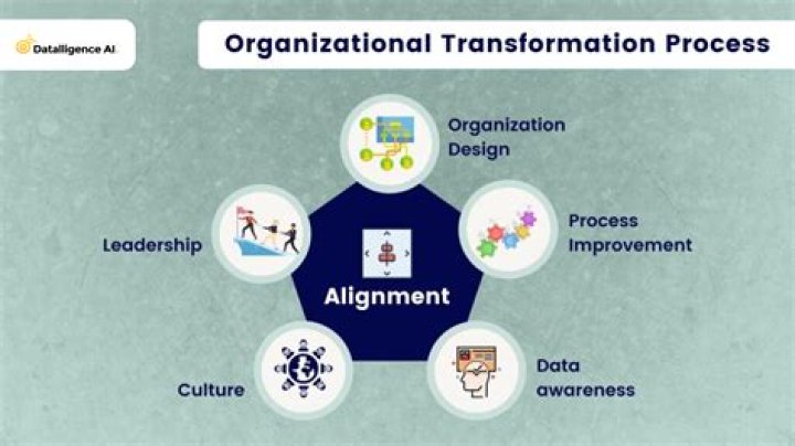 Insights For A Transforming Industry