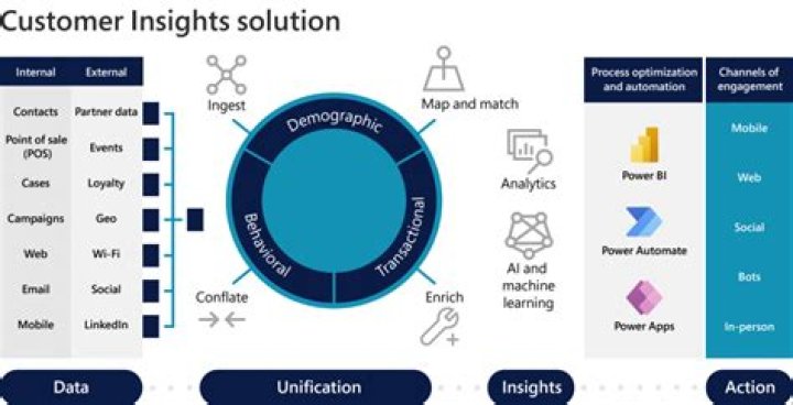 Insights Into Success And Support