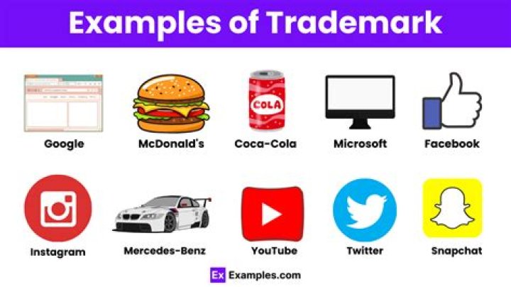 Instantly Find Your Website's Rankings