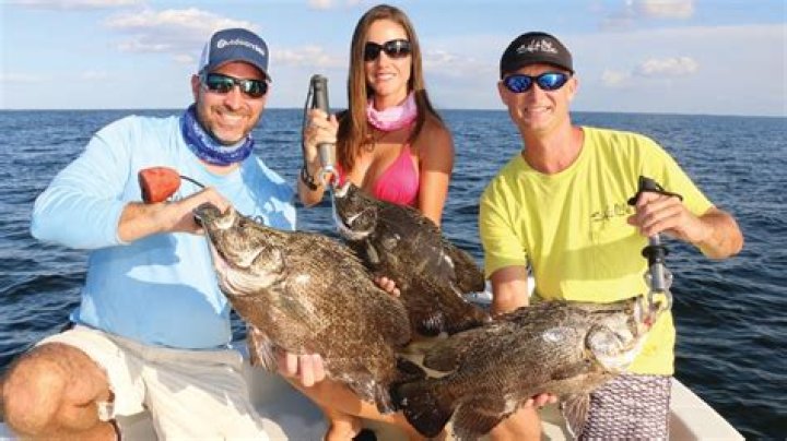 Is Captain Jimmy Nelson Married To Louisa? Get The Truth Here