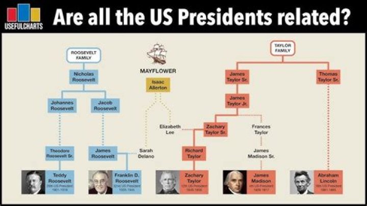 Is Cynthia Nixon Related To Richard Nixon? Exploring The Truth Behind The Political Lineage