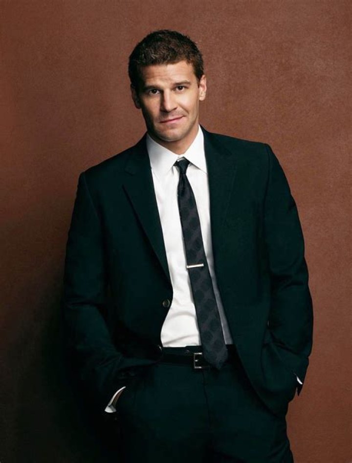 Is David Boreanaz's Son An Actor? Find Out Now!