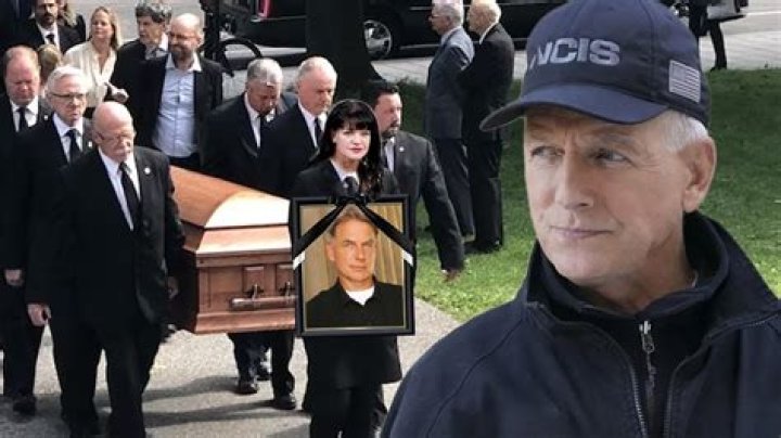 Is Mark Harmon Really Dead?