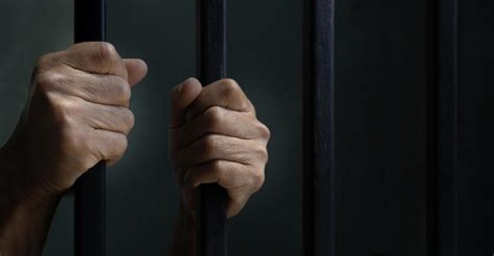Is Molly Nibblit Behind Bars? The Truth About Her Alleged Imprisonment