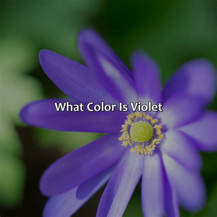 Is Violet Affleck Autistic? The Truth Revealed